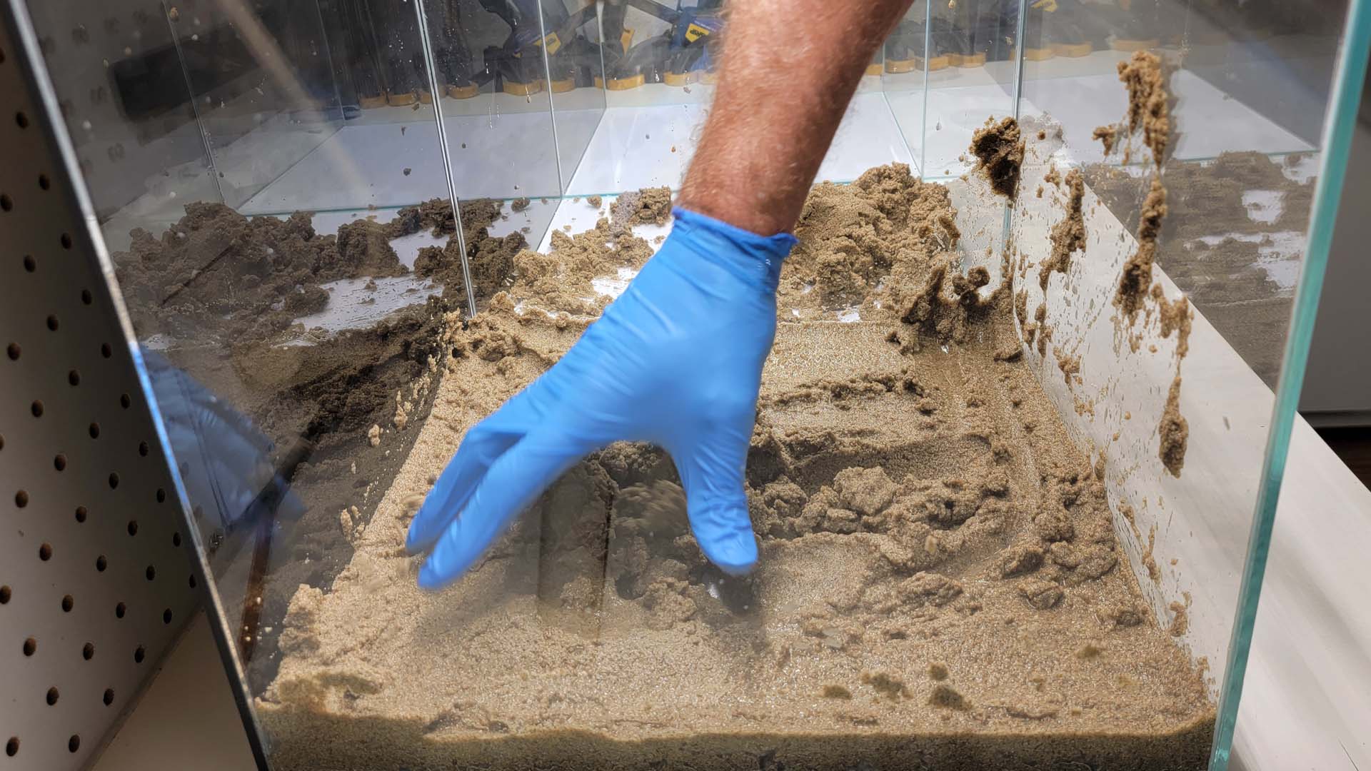 Mixing API Root Tab powder into sand