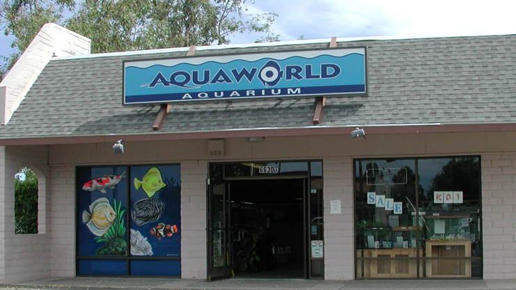 Aquaworld Aquarium Retail Store