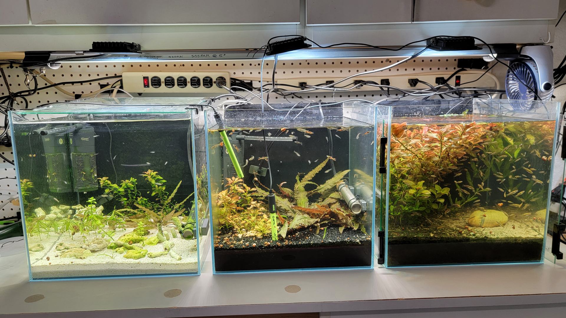 Lab Aquariums used for freshwater oganic carbon dosing experiments.